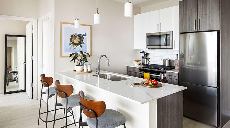 Sentral Michigan Avenue Aparthotel Chicago Exterior foto Kitchen